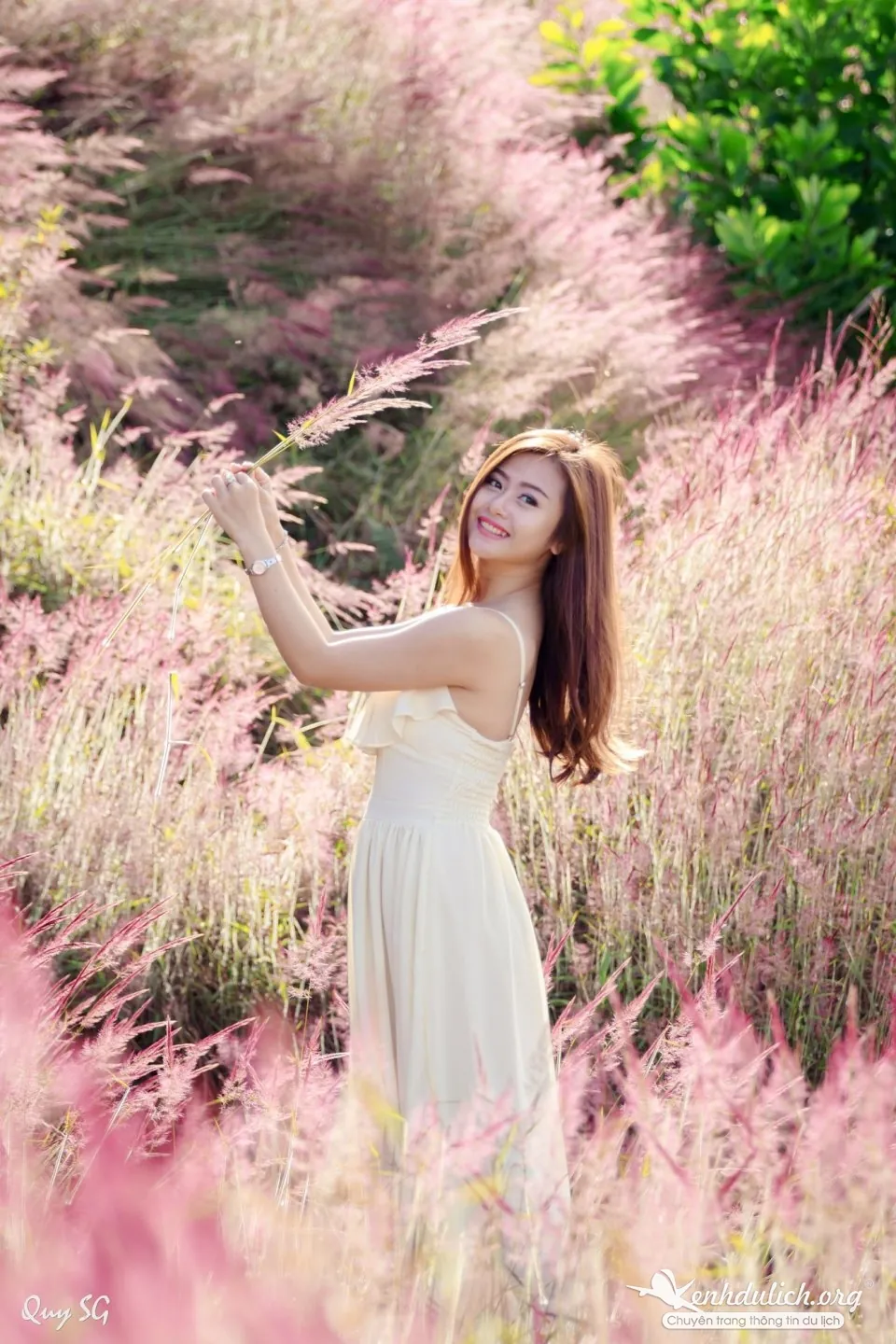 Ngắm bộ ảnh đẹp mê hồn bên đồi cỏ hồng Đà Lạt đồi cỏ hồng ở đà lạt