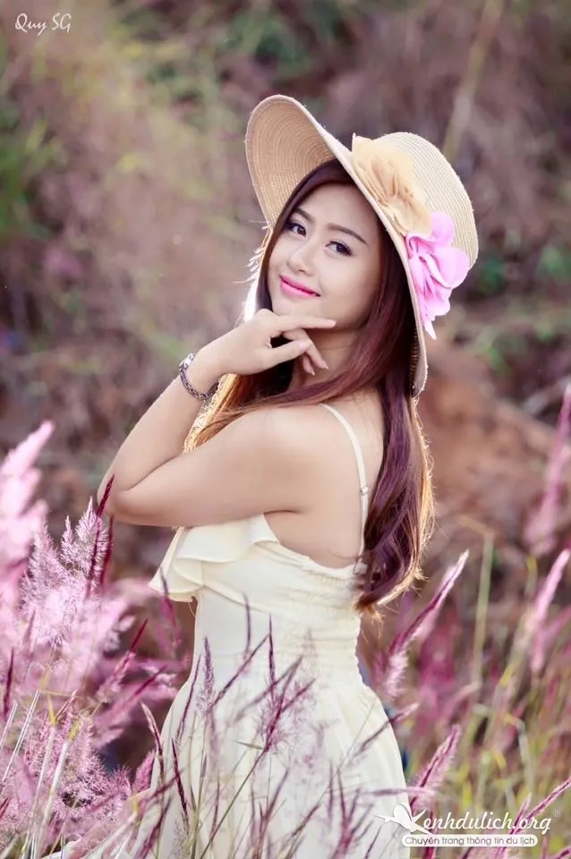 Ngắm bộ ảnh đẹp mê hồn bên đồi cỏ hồng Đà Lạt đồi cỏ hồng ở đà lạt