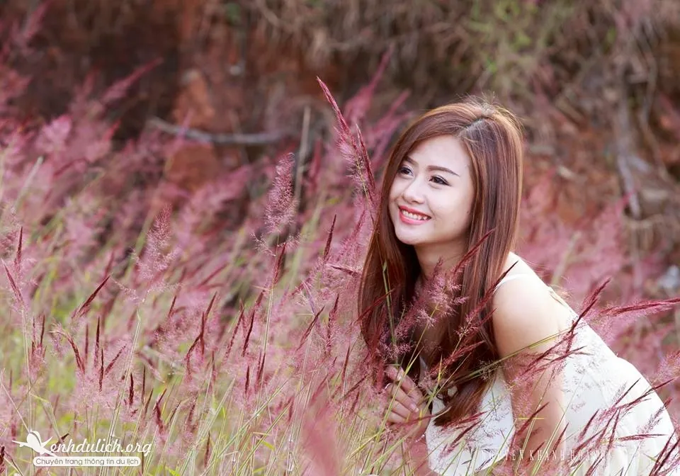 Ngắm bộ ảnh đẹp mê hồn bên đồi cỏ hồng Đà Lạt đồi cỏ hồng ở đà lạt