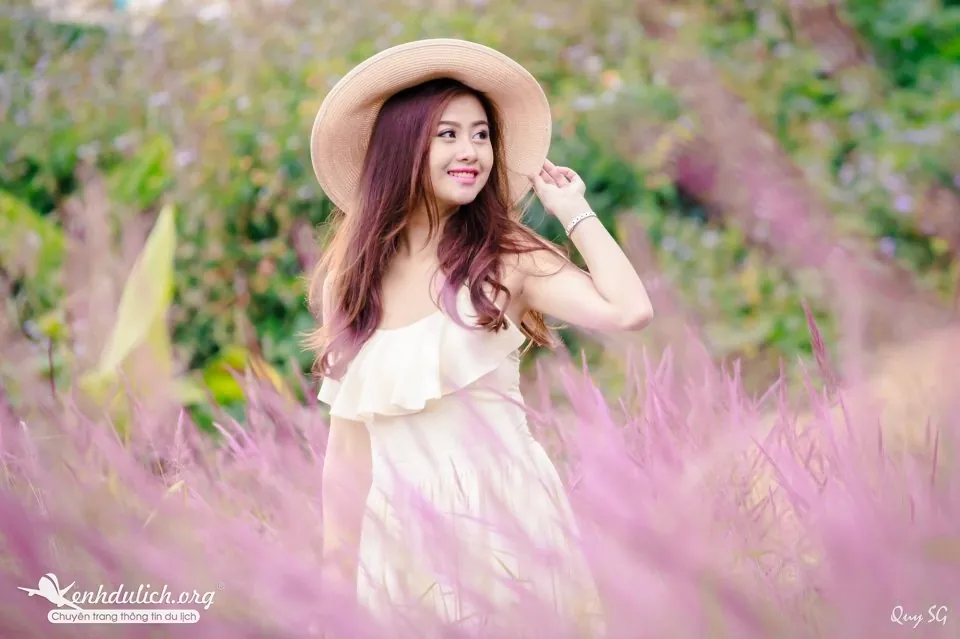 Ngắm bộ ảnh đẹp mê hồn bên đồi cỏ hồng Đà Lạt đồi cỏ hồng ở đà lạt