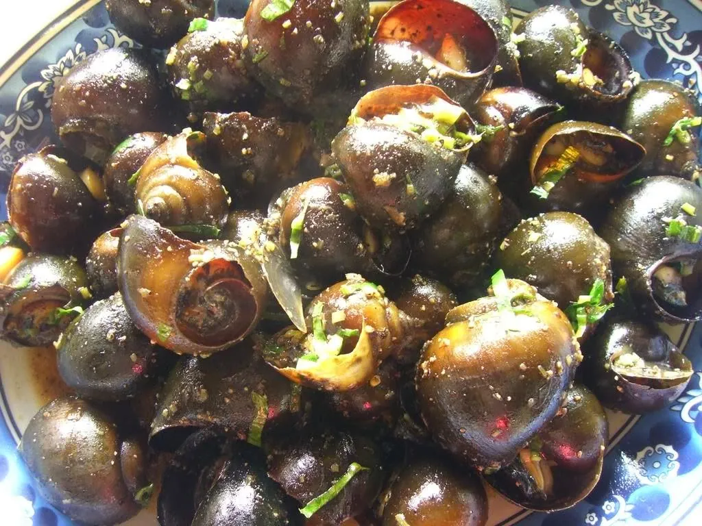 Du lịch bụi phượt Cần Thơ ăn gì chơi gì ở đâu