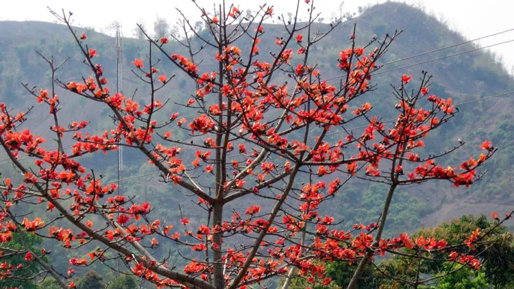 Du lịch Buôn Ma Thuột Điểm đến lý tưởng cho chuyến khám phá cuối năm