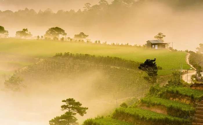 Lạc bước Đà Lạt những ngày mùa đông đầy ảo mộng du lịch đà lạt mùa đông