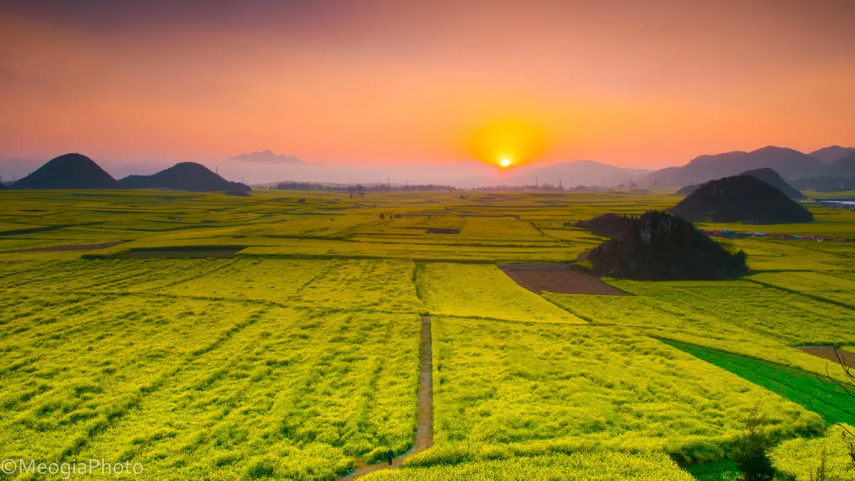 du lịch la bình ngắm cánh đồng hoa cải vàng đẹp ngất ngây