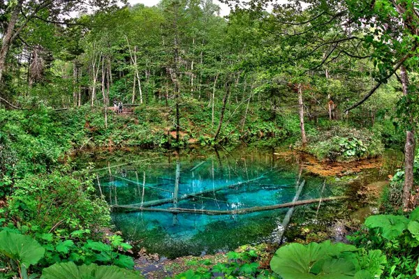 Du lịch Nhật Bản khám phá 10 trải nghiệm không thể quên ở Hokkaido Du lịch Nhật Bản khám phá 10 trải nghiệm không thể quên ở Hokkaido