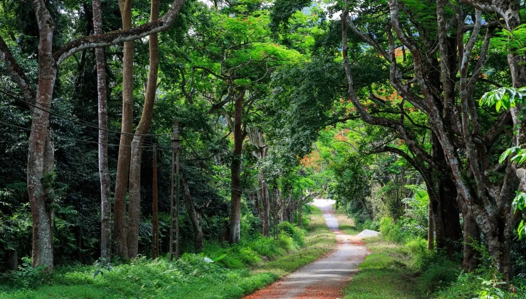 Du lịch Ninh Bình khám phá 5 điểm đến đi hoài không biết chán
