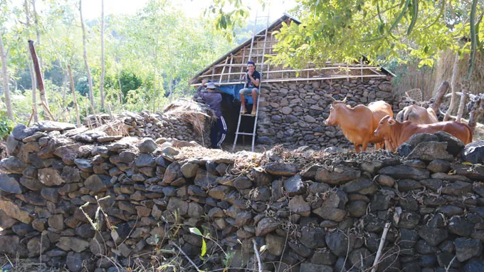 Du lịch Phú Yên trải nghiệm không gian văn hóa đá Du lịch Phú Yên trải nghiệm không gian văn hóa đá