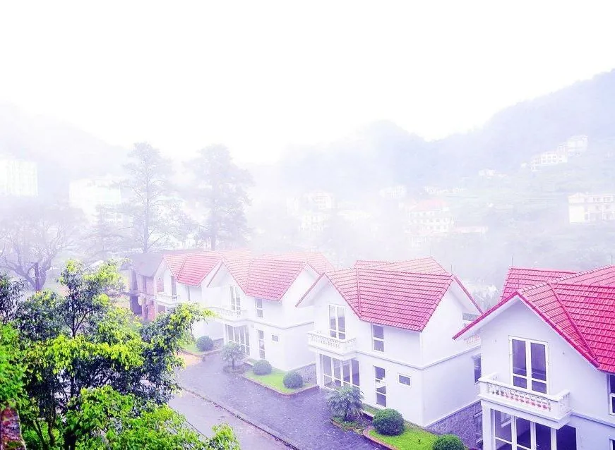 Có một Tam Đảo đầy sương phủ và mây bay du lịch tam đảo ngắm sương phủ mây bay