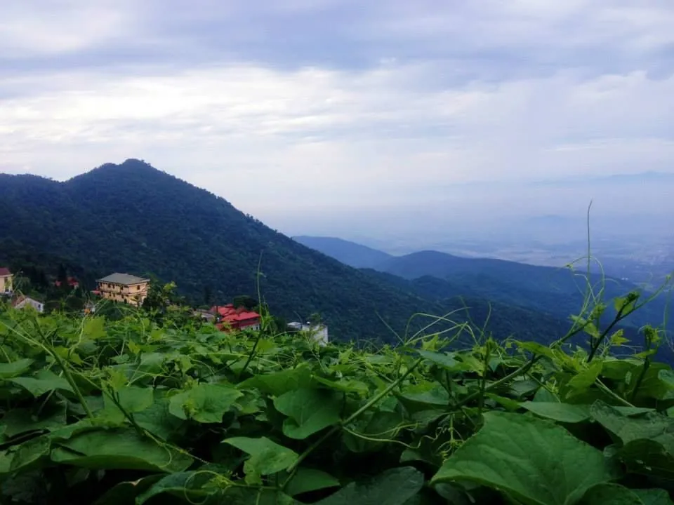 Có một Tam Đảo đầy sương phủ và mây bay du lịch tam đảo ngắm sương phủ mây bay