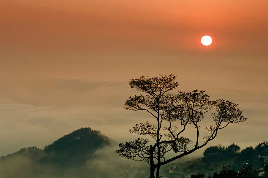 Có một Tam Đảo đầy sương phủ và mây bay du lịch tam đảo ngắm sương phủ mây bay