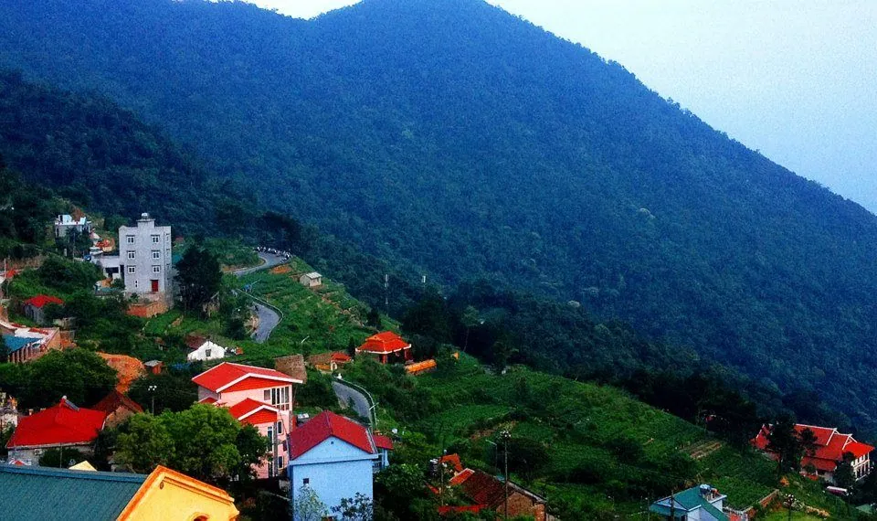 Có một Tam Đảo đầy sương phủ và mây bay du lịch tam đảo ngắm sương phủ mây bay