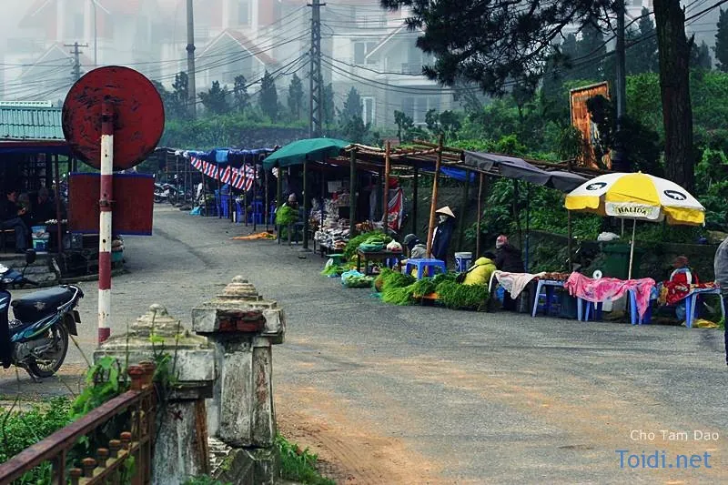 Du lịch Tam Đảo và tất cả những điều cần biết