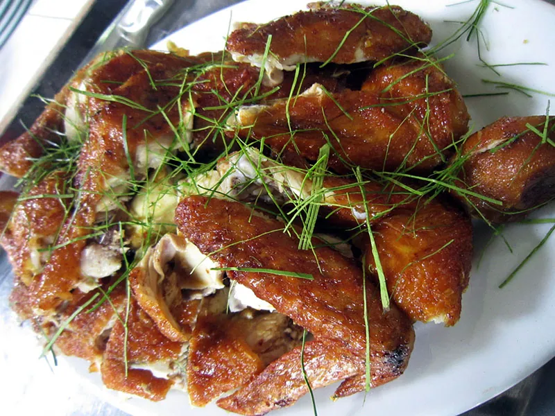Du lịch Tam Đảo và tất cả những điều cần biết