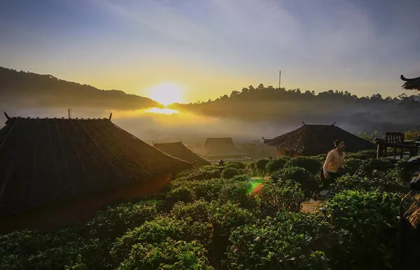 Du lịch Thái Lan ngắm ngôi làng trên đồi chè đẹp như bích họa Du lịch Thái Lan ngắm ngôi làng trên đồi chè đẹp như bích họa