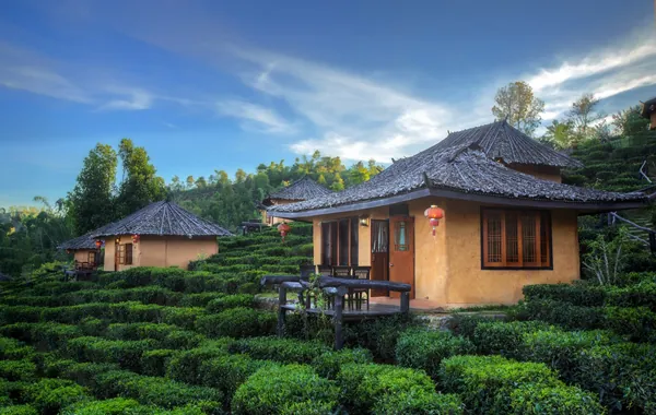 Du lịch Thái Lan ngắm ngôi làng trên đồi chè đẹp như bích họa Du lịch Thái Lan ngắm ngôi làng trên đồi chè đẹp như bích họa