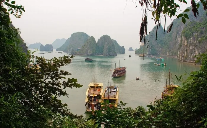 HANG ĐẦU GỖ VỊNH HẠ LONG