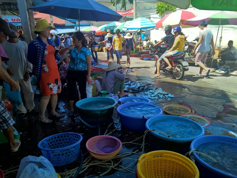 Du lịch Vũng Tàu khám phá chợ Xóm Lưới mua và ăn hải sản trong một nốt nhạc Du lịch Vũng Tàu khám phá chợ Xóm Lưới mua và ăn hải sản trong một nốt nhạc