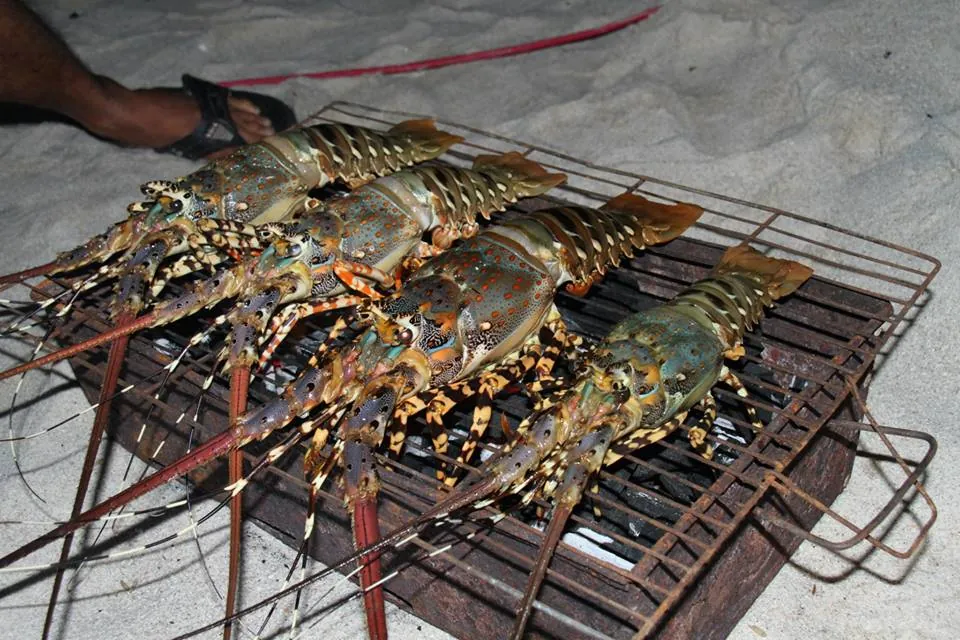Hình ảnh khiến bạn muốn xách balo đến Nha Trang ngay lập tức Hình ảnh khiến bạn muốn xách balo đến Nha Trang ngay lập tức