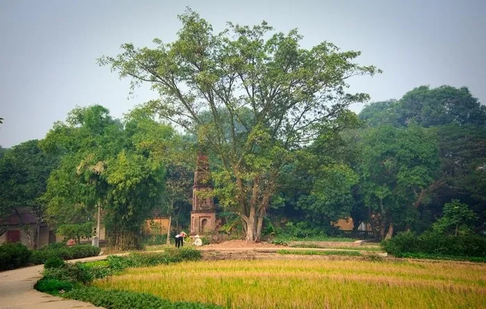 Hội Lim truyền thống văn hóa đất Kinh Bắc