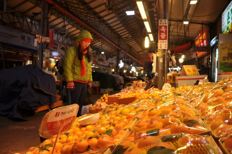 Jeju ký ức thơm mùi cam tươi