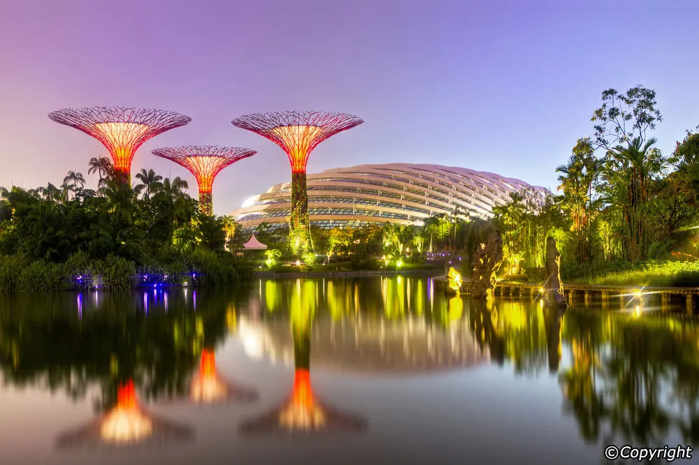 Khám phá 10 điểm vui chơi thú vị ở Marina Bay Gardens by the Bay