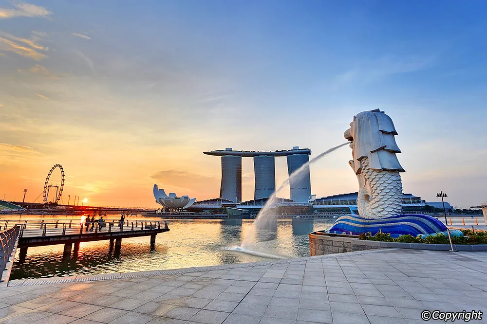 Khám phá 10 điểm vui chơi thú vị ở Marina Bay Công viên Sư tử biển