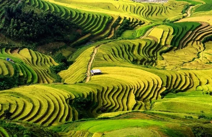 Khau Phạ - Cung đèo danh chấn phương Bắc Khau Phạ Cung đèo danh chấn phương Bắc