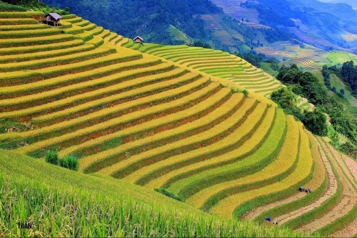 Khau Phạ - Cung đèo danh chấn phương Bắc Khau Phạ Cung đèo danh chấn phương Bắc