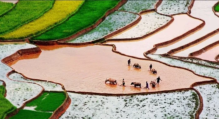 Khau Phạ - Cung đèo danh chấn phương Bắc Khau Phạ Cung đèo danh chấn phương Bắc