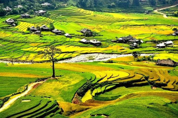 Khau Phạ - Cung đèo danh chấn phương Bắc Khau Phạ Cung đèo danh chấn phương Bắc