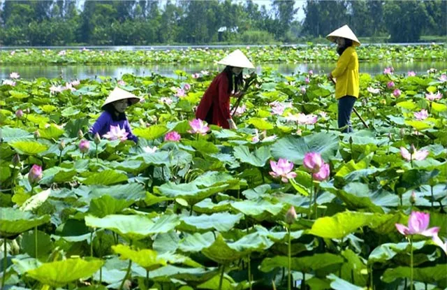Kinh nghiệm du lịch Long An Kinh nghiệm du lịch Long An