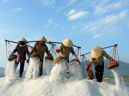 Kinh nghiệm du lịch Quảng Ngãi Kinh nghiệm du lịch Quảng Ngãi