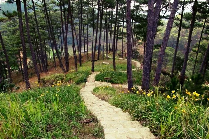 Làng Cù Lần - Tìm về miền cổ tích chốn rừng sâu Làng Cù Lần tìm về miền cổ tích chốn rừng sâu