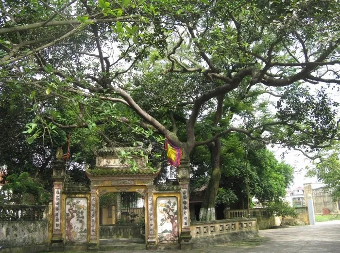 Làng Diềm - vùng quê thanh bình xứ Kinh Bắc Làng Diềm vùng quê thanh bình xứ Kinh Bắc