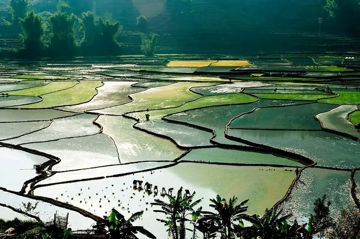 Lung linh mùa nước đổ Than Uyên