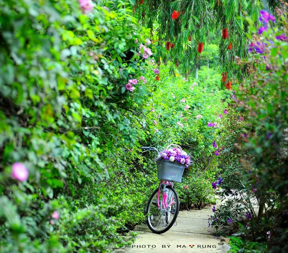 Ma Rừng Lữ Quán, chốn thanh tịnh giữa rừng sâu núi thẳm Ma Rừng Lữ Quán, chốn thanh tịnh giữa rừng sâu núi thẳm