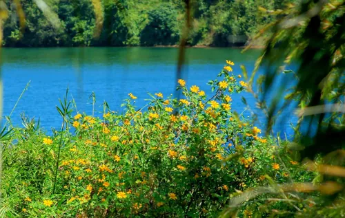 Minh Hằng: Gia Lai đẹp đâu thua kém Hàn Quốc du lịch gia lai
