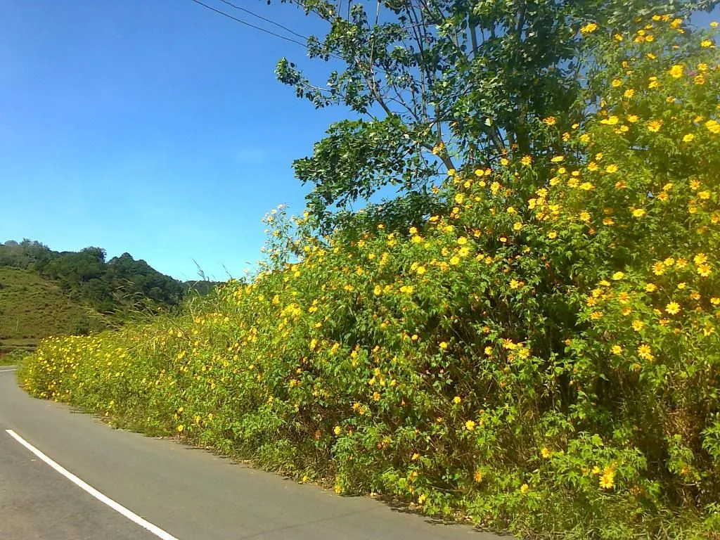 Mùa thu ngao du với top 5 ngọn núi nổi tiếng ở Việt Nam BẠCH MÃ SƠN