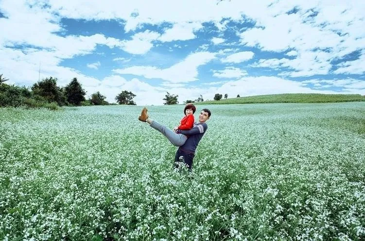 Ngẩn ngơ mùa hoa Đà Lạt tháng 11