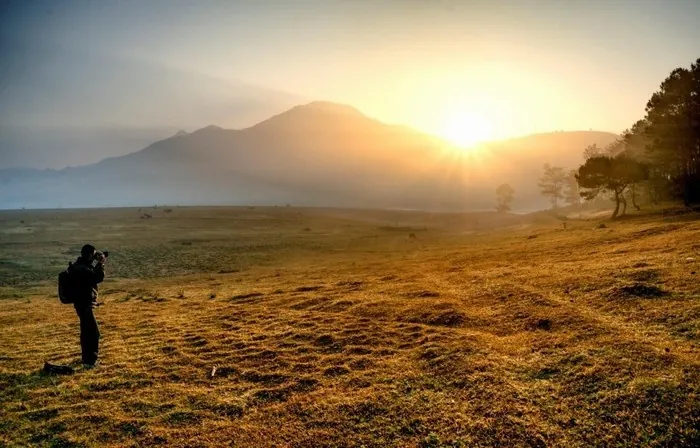 Ngẩn ngơ mùa hoa Đà Lạt tháng 11 Ngẩn ngơ mùa hoa Đà Lạt tháng 11