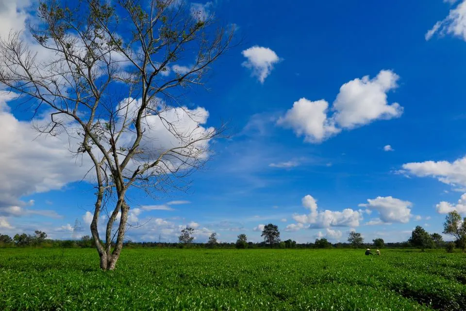 Những con đường đi thẳng vào tim du khách ở Gia Lai