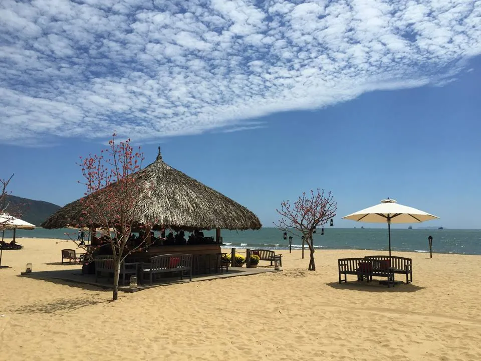 Những hình ảnh khiến bạn quên mất đường về khi đến Bình Định Những hình ảnh khiến bạn quên mất đường về khi đến Bình Định