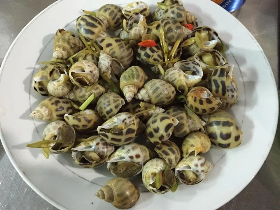 Những hình ảnh khiến bạn quên mất đường về khi đến Bình Định Những hình ảnh khiến bạn quên mất đường về khi đến Bình Định