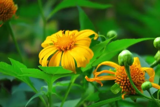 Những hình ảnh khiến bạn thấy yêu Gia Lai còn hơn cả Đà Lạt Những hình ảnh khiến bạn thấy yêu Gia Lai còn hơn cả Đà Lạt