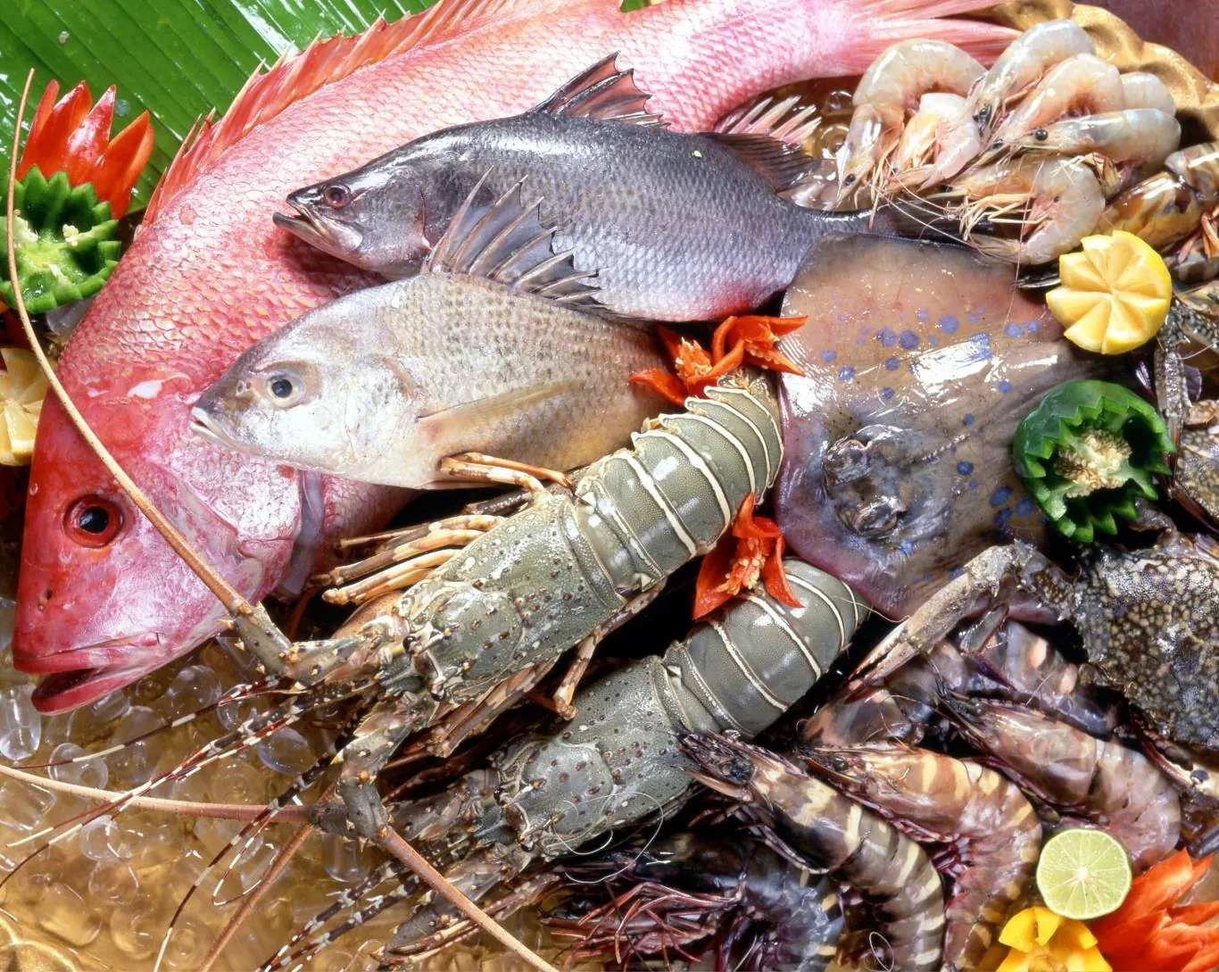 Những món ăn chơi ở Phú Yên