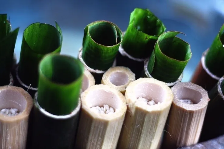 CƠM LAM BẮC MÊ