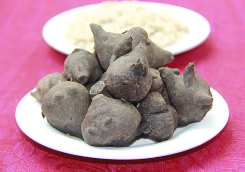 CHÁO ẤU TẨU