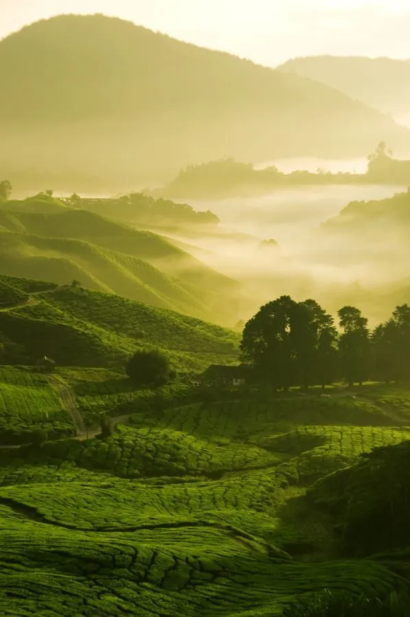 Những thiên đường du lịch ngay gần Việt Nam mà bạn không đi không được Những thiên đường du lịch ngay gần Việt Nam mà bạn