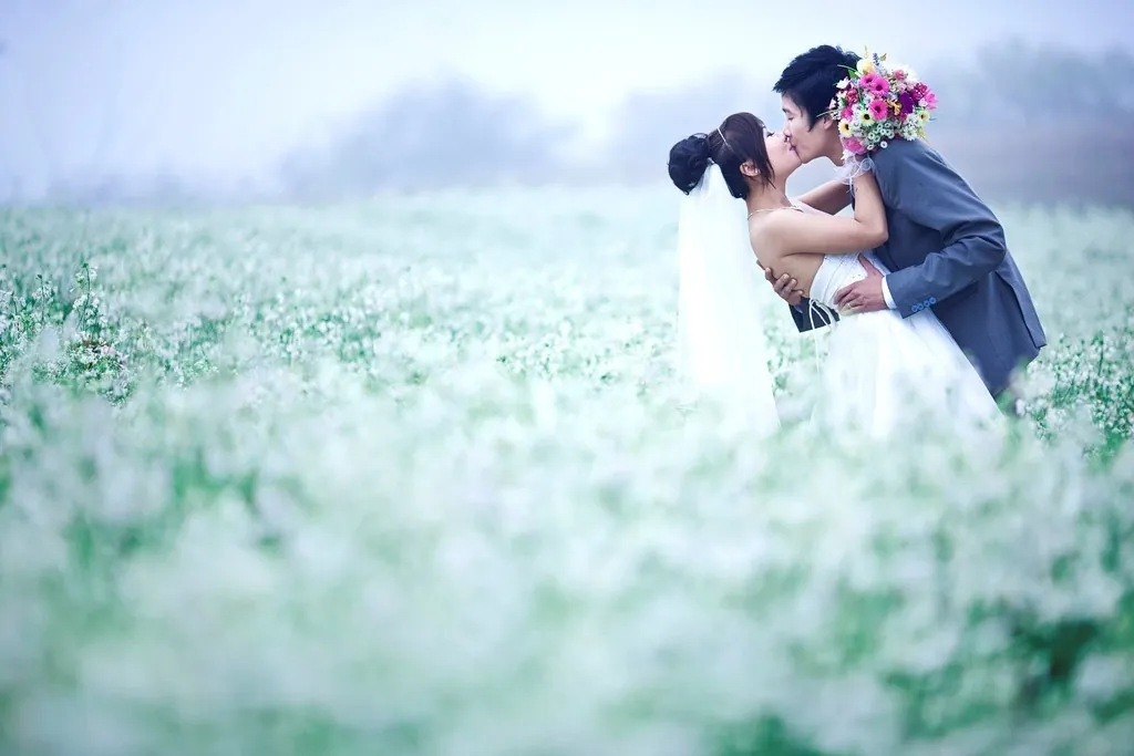 PHẢI LÒNG VẺ ĐẸP TINH KHÔI CỦA MÙA HOA CẢI MỘC CHÂU THÁNG 11