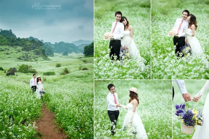 PHẢI LÒNG VẺ ĐẸP TINH KHÔI CỦA MÙA HOA CẢI MỘC CHÂU THÁNG 11